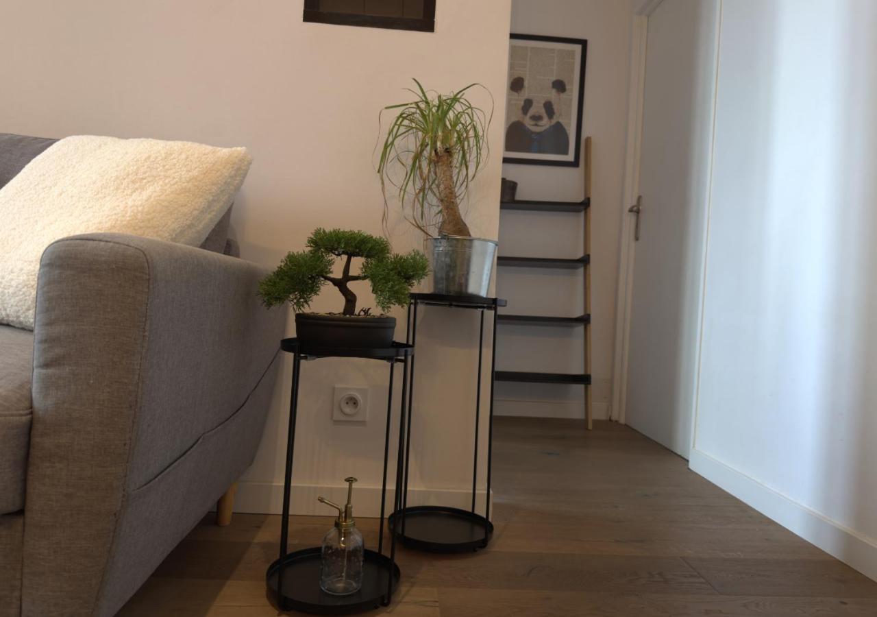 French Loft - Central & Comfy Annecy Bagian luar foto